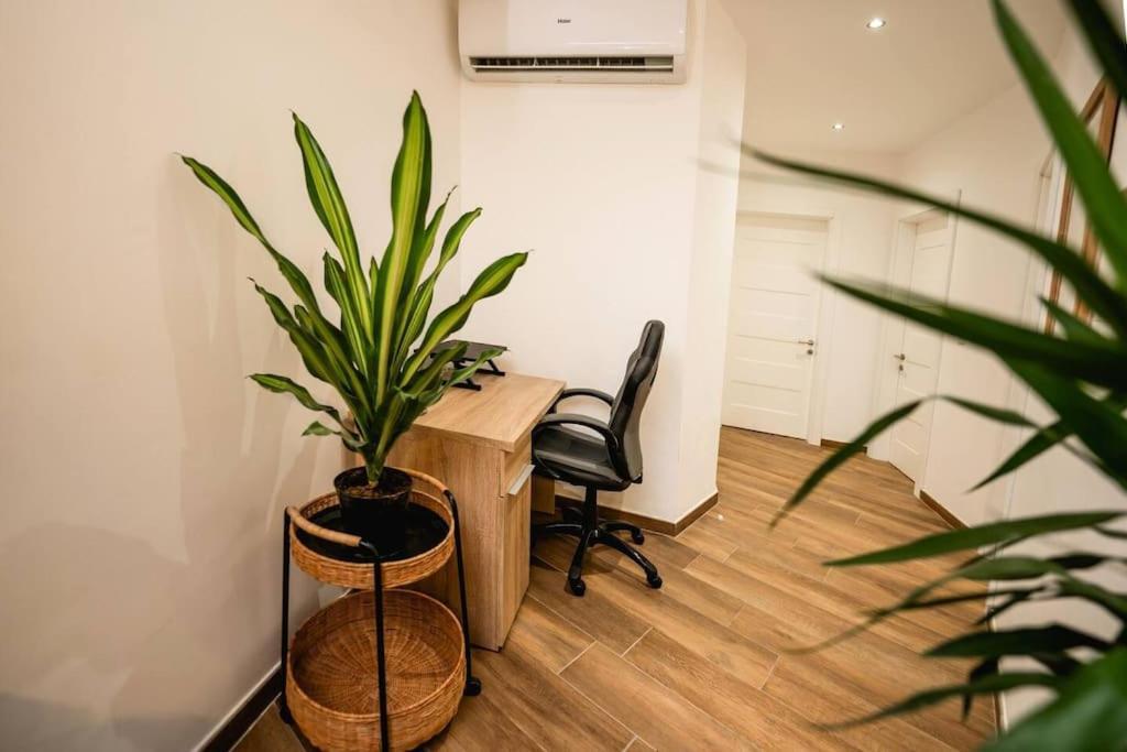 דירות מסידה Luxurious & Stylish Penthouse With Private Pool מראה חיצוני תמונה